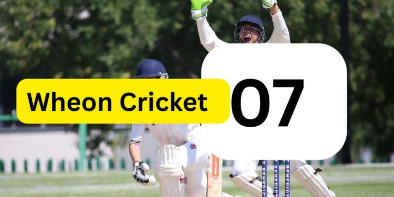 Wheon Cricket 07 gameplay screenshot with updated IPL squads and HD stadium graphics on PC